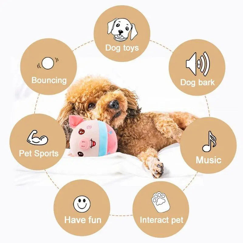 BounceBuddy: Smart Interactive Pet Toy