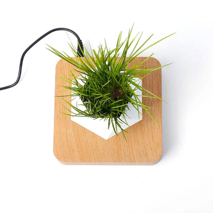 Levitating Air Bonsai Pot: Magnetic Floating & Rotating Planter for Home & Office Décor (Plant Not Included)