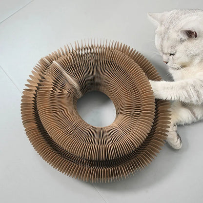 PurrFlex: Magic Scratcher