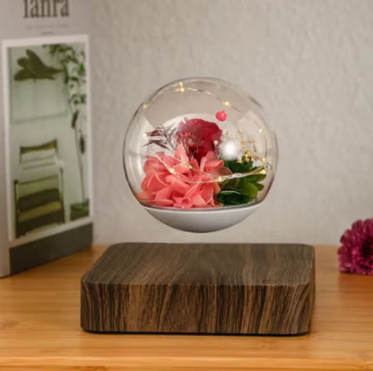 Levitating Air Bonsai Pot: Magnetic Floating & Rotating Planter for Home & Office Décor (Plant Not Included)