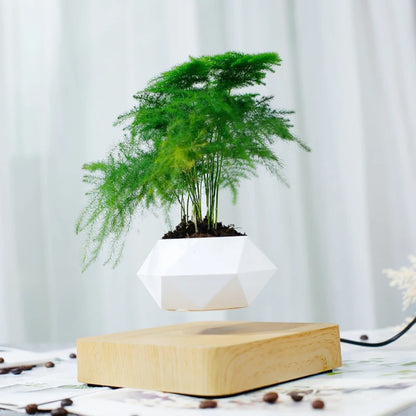 Levitating Air Bonsai Pot: Magnetic Floating & Rotating Planter for Home & Office Décor (Plant Not Included)