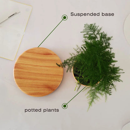 Levitating Air Bonsai Pot: Magnetic Floating & Rotating Planter for Home & Office Décor (Plant Not Included)